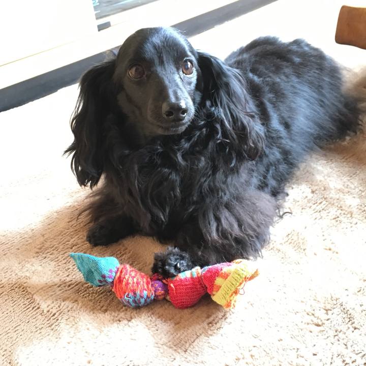 6f679714 93b2 401f 9e31 aa7f810c518c 1763558123672