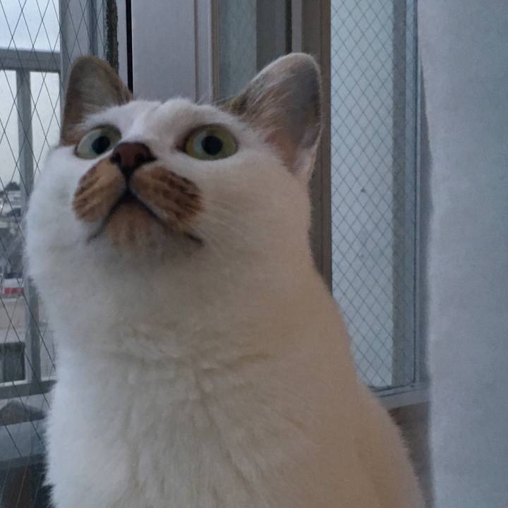 6f67a9b4 b4e4 40fc 94a8 022a780a6bbf 1515142568217