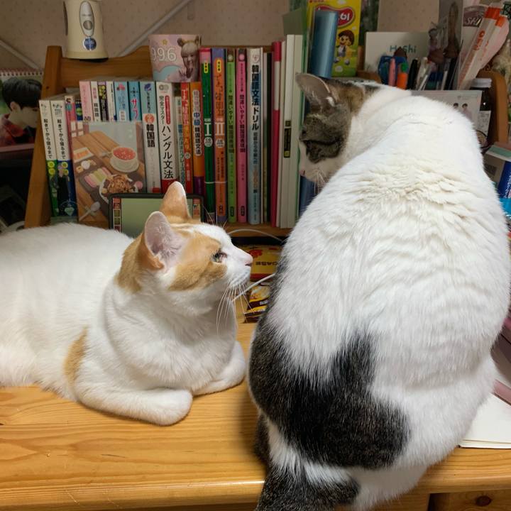 6f67b26b fc30 40af 9405 d363e60c3620 1620592465655