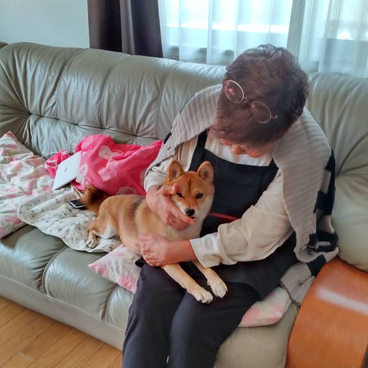 6f67c32c 863b 4f2f 938a 5e75a603186f 1634710149978