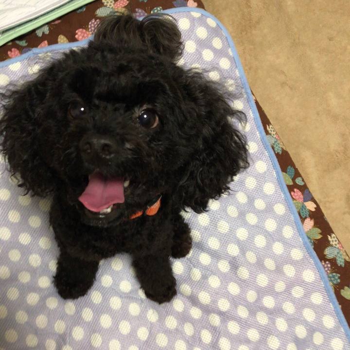 6f67d0c8 23ec 4834 bc83 1cd1497fe5a1 1535785945361