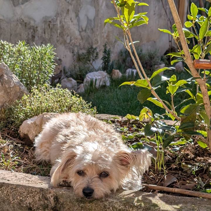 6f67d9ce f591 439b aab9 5de2ec7a369d 1769949725662