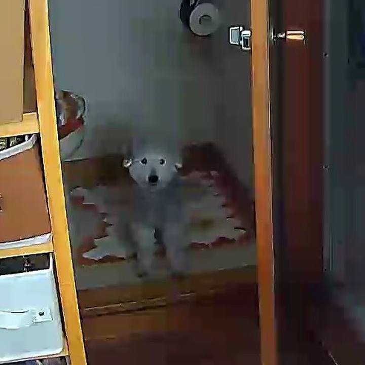 6f680185 49a2 4250 9820 3cc361602373 1620951429989