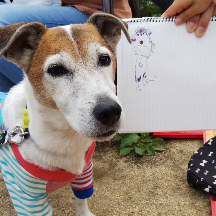 6f68178e fcf3 4012 a0b5 1dd88490cef1 1526727253230