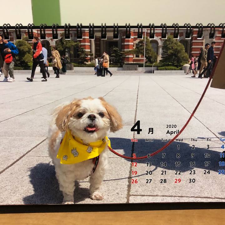 6f6821eb 3245 45e8 8a2a bfdfadde35d3 1585777816597