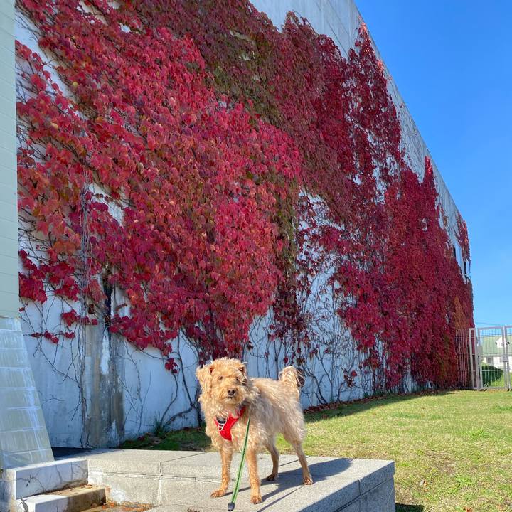 6f68262a 1705 4d3f 9a30 df0a65e4361b 1665882306547