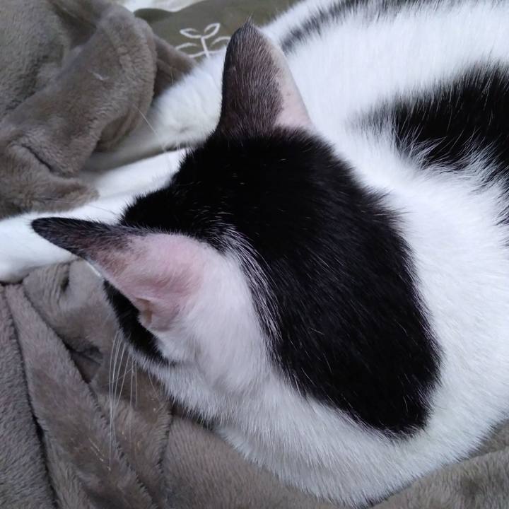 6f682ed6 564b 4560 a659 7af3b1cf5a7a 1546862507740