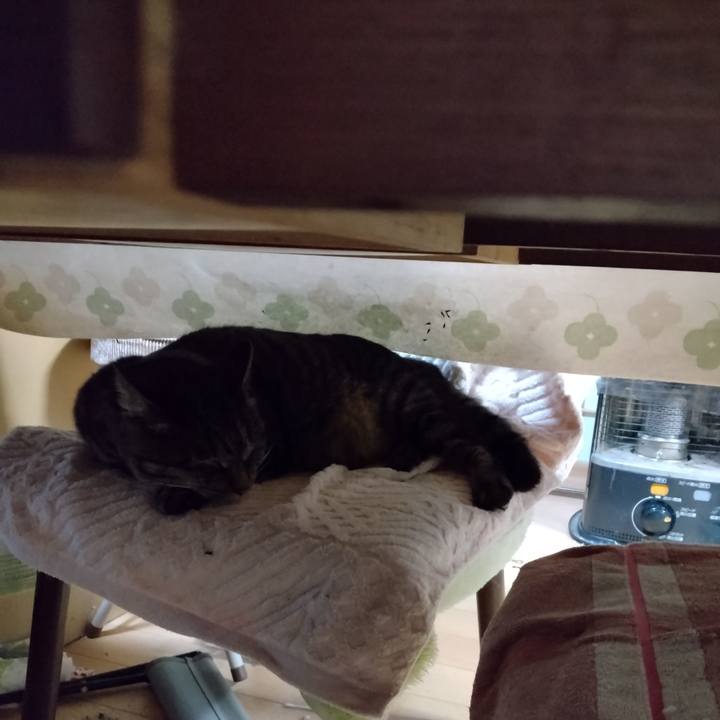 6f683f62 4608 4f8a 978b 11a2b081f64a 1667988548145