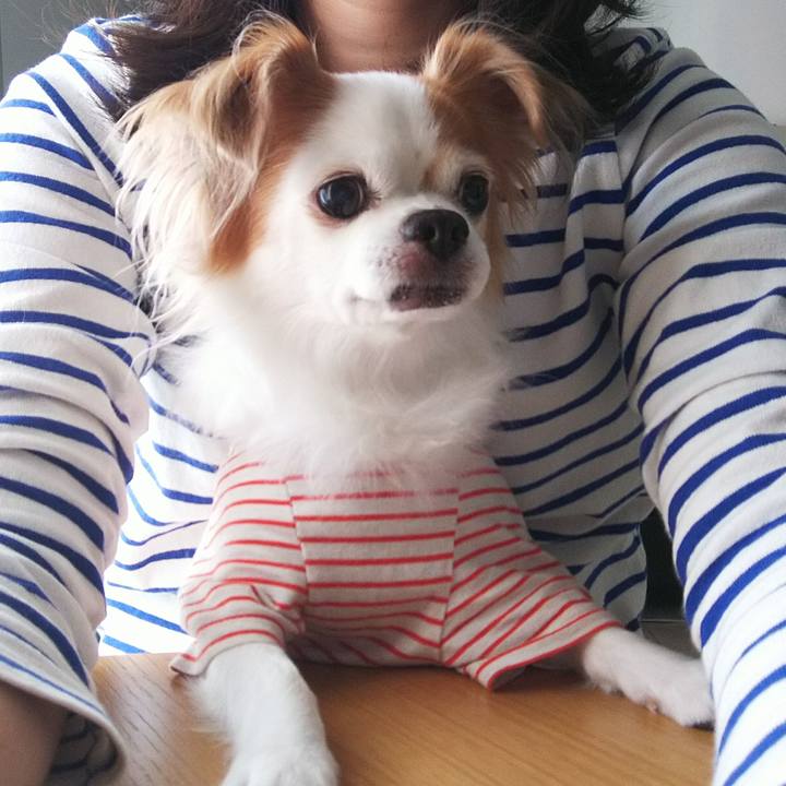 6f686d52 5986 438c 99df f468e0877fcc 1772421157697