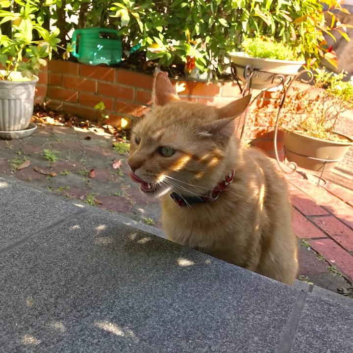 6f68aace 653d 40c6 be4f a58fb08132a6 1528874584348