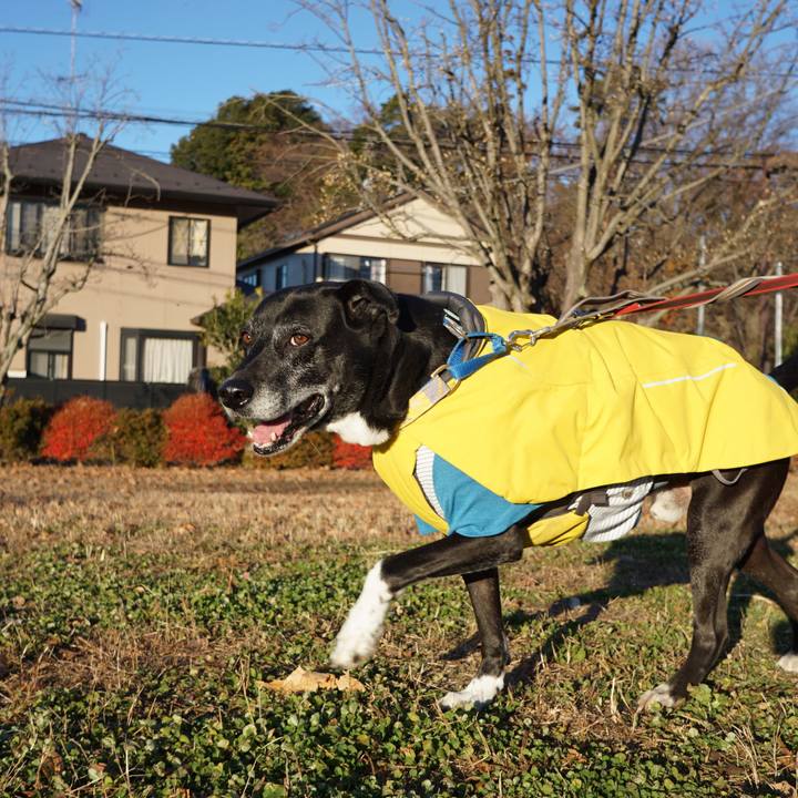 6f68af16 833d 4f90 9af2 a8d4889acf28 1765498297093