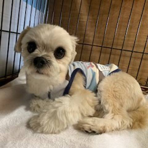 6f68b331 a2f5 4abc 9d42 9b229027dd24 1558004588544