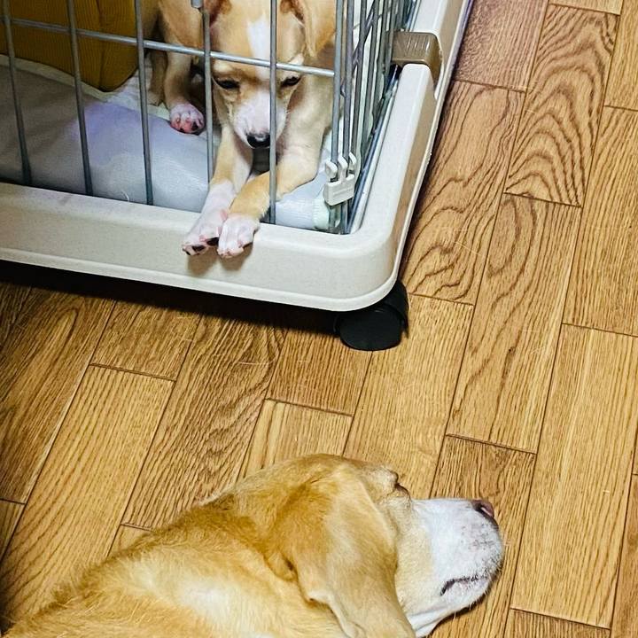 6f691281 01df 4f7c baa3 e5feccd6e4aa 1661513154894