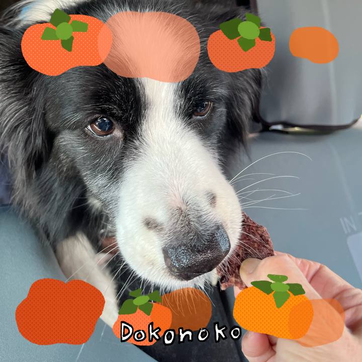 6f694135 08d7 4c36 b234 8ce001cbb7e2 1761107569019