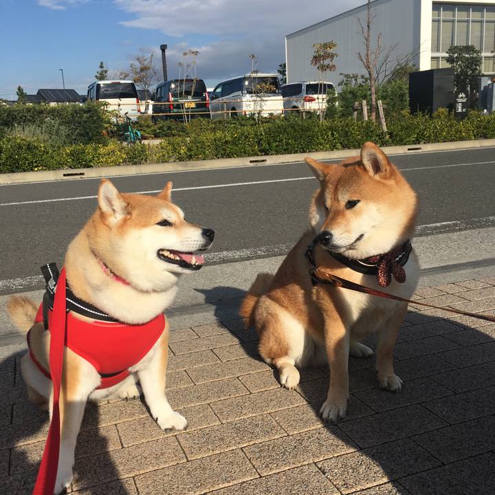 6f694567 31a8 4a3d ae4b 2576c3ae92db 1575193988616