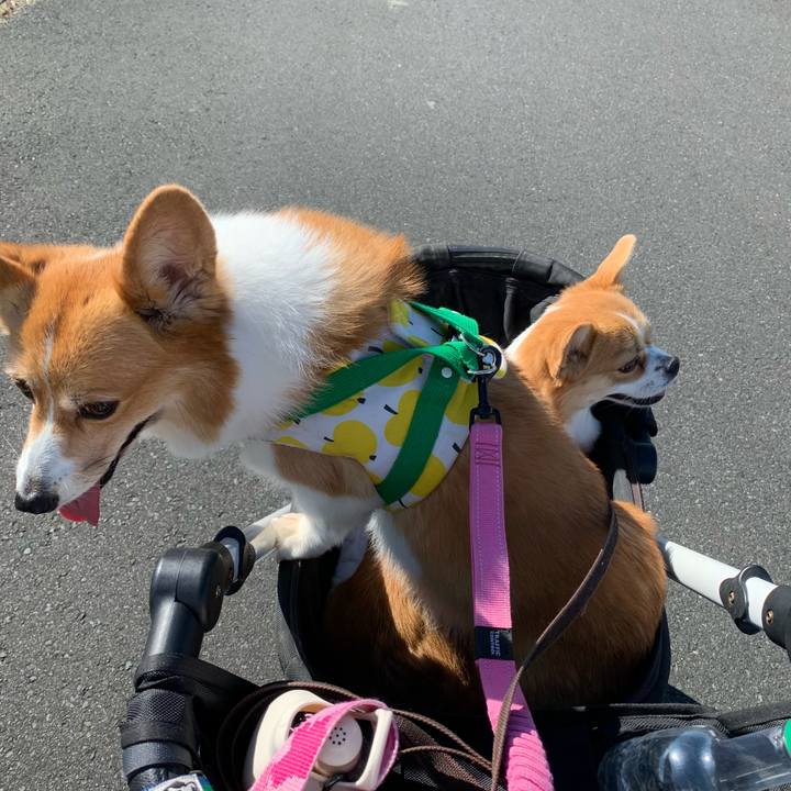 6f696ec3 c95f 43f7 8662 0fec3e7be0ef 1633133803952