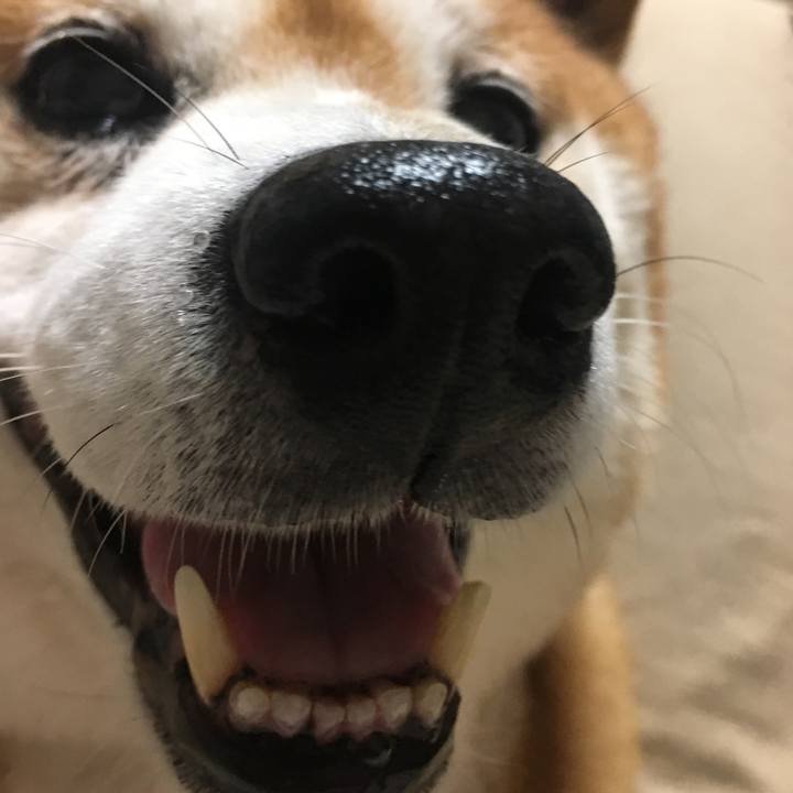 6f69e512 5fc7 4d45 873d 582efbff5f07 1533208825051