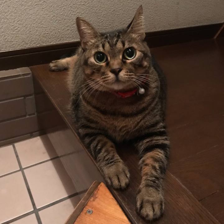 6f6a4fea 0681 47bc a797 e3f1513c81f6 1630153557299