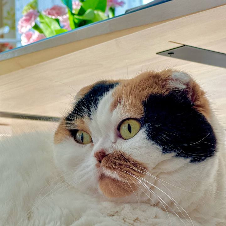 6f6a6659 0534 4283 84fb c1c5c638cbb2 1706066712912