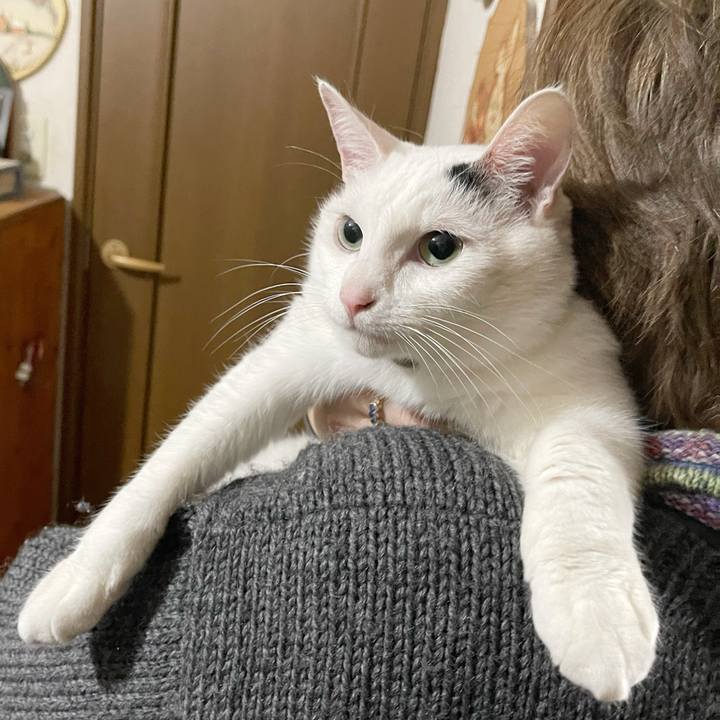 6f6ae719 345d 46f3 a17a a0b6f98d4798 1766098325288