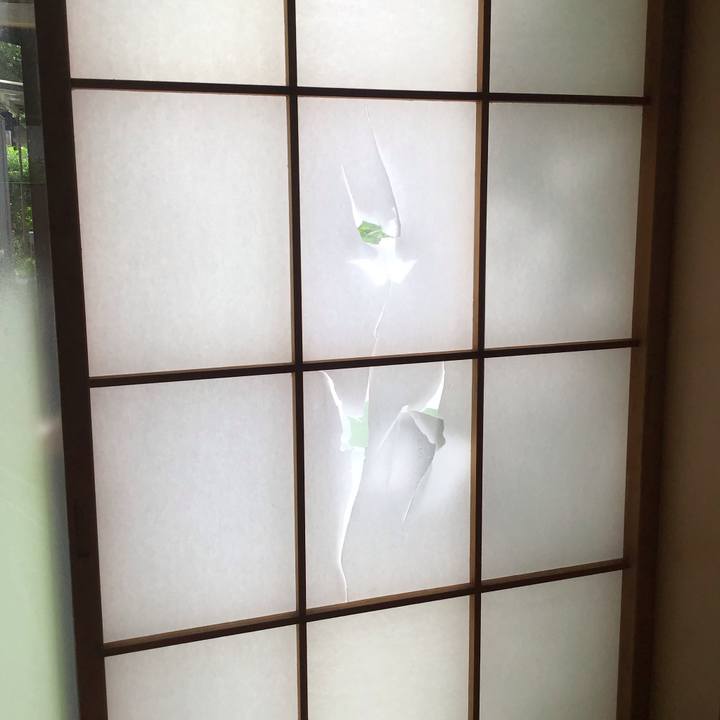 6f6b12a5 63b1 4d7a bee5 d0f31599a1fa 1719183110340