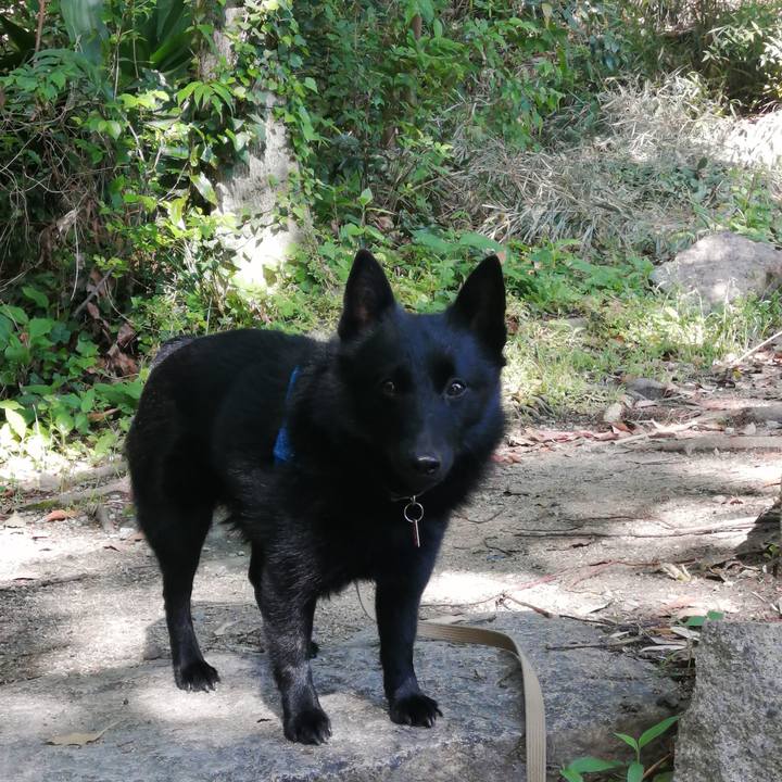 6f6b37bc 8746 4d00 bdeb a7a7ed8e8d05 1620000118587