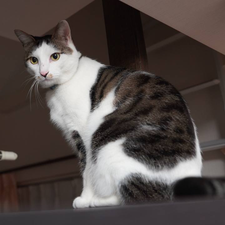 6f6b4a8e 1edb 4f51 8353 4e1ab5180187 1608993013430