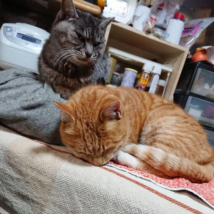 6f6b736c c62a 4b76 9766 600d47c79959 1577518173354