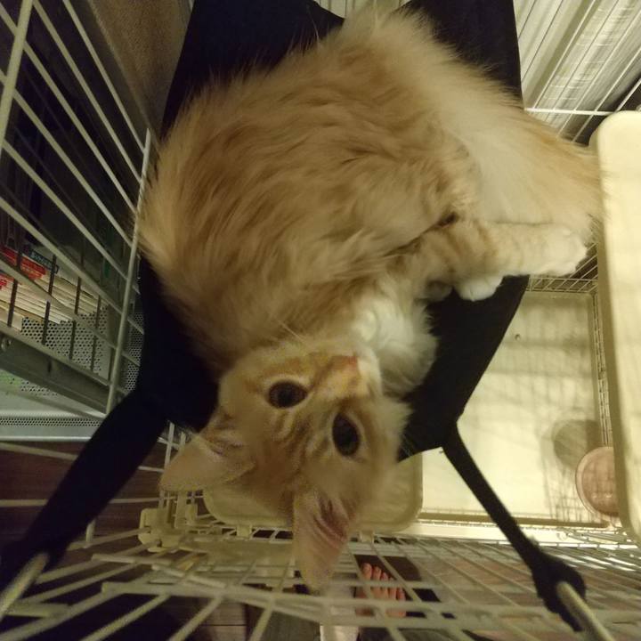 6f6b7563 5009 4037 aede 8261e4e3b255 1615337407368