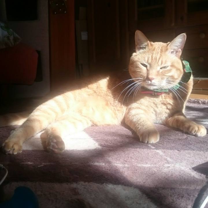 6f6bcd65 9b92 4ce1 8098 e63f78e60773 1513739017808