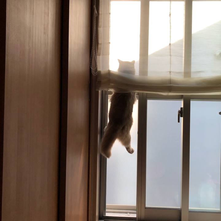 6f6bdeab 8b25 4f09 91b0 8daca5bceafb 1588838134835