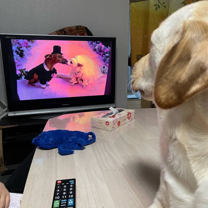 6f6c871b 58be 4fe6 a968 dad17f49a3a5 1674736324488