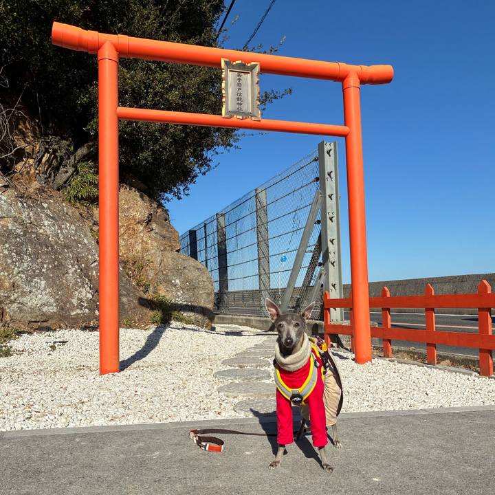 6f6cdb0d bdb9 48c4 a154 5c1f3666dd68 1768467589049