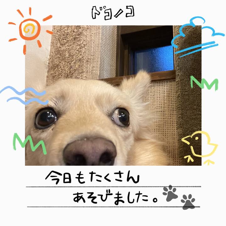 6f6cfbc5 03c0 4163 8ed1 d8fc811c7ad8 1755057648363