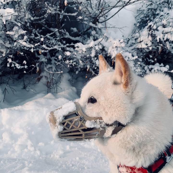 6f6d03ef 3591 4957 84af 9c5e3fe1373b 1678055778847