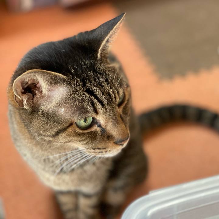 6f6d0aff ebc0 4a2d 84d3 6a8ef854dd8a 1613007222336