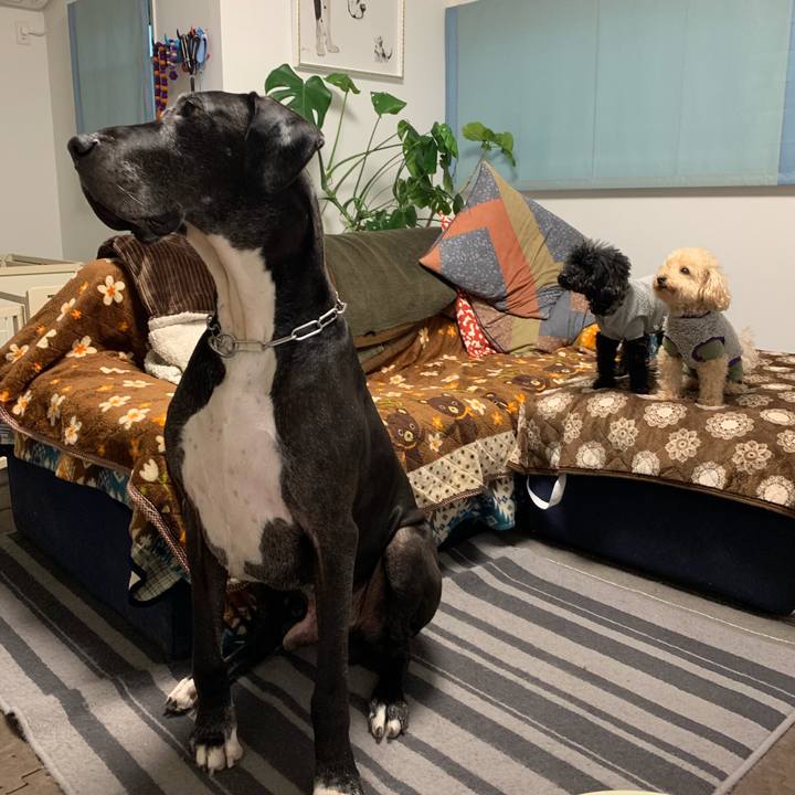 6f6d171f cea3 4d07 bd01 0b7e819b5aa0 1544999694722