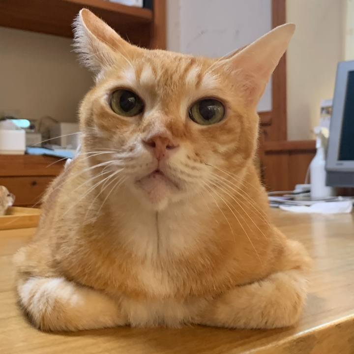 6f6d1dd2 05ee 4653 aaf8 5471c69bea3d 1665718666726