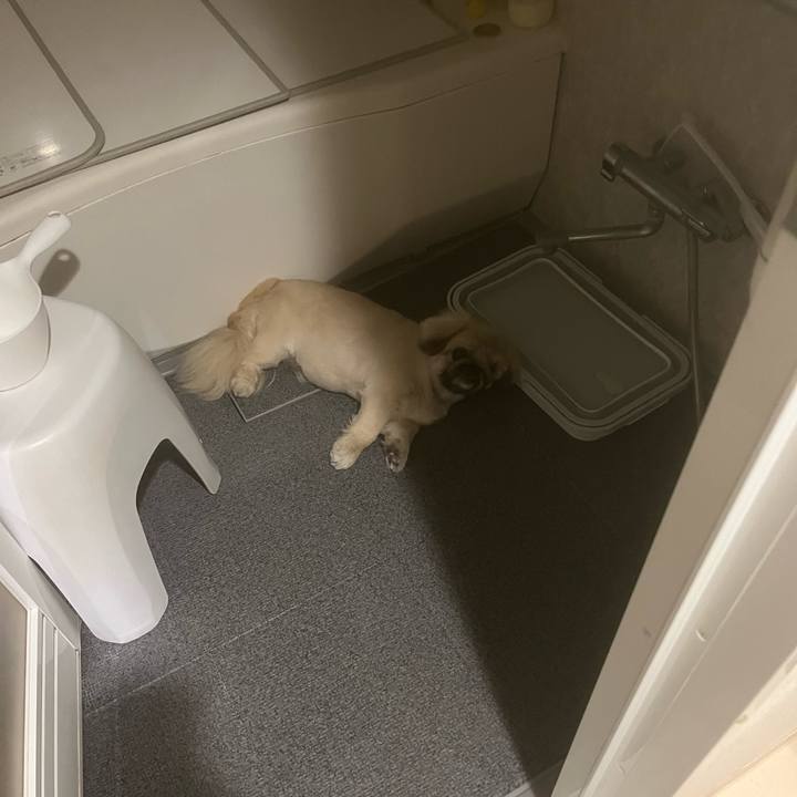 6f6d35b1 0112 4115 9cbc 7aad0619b717 1722037303893