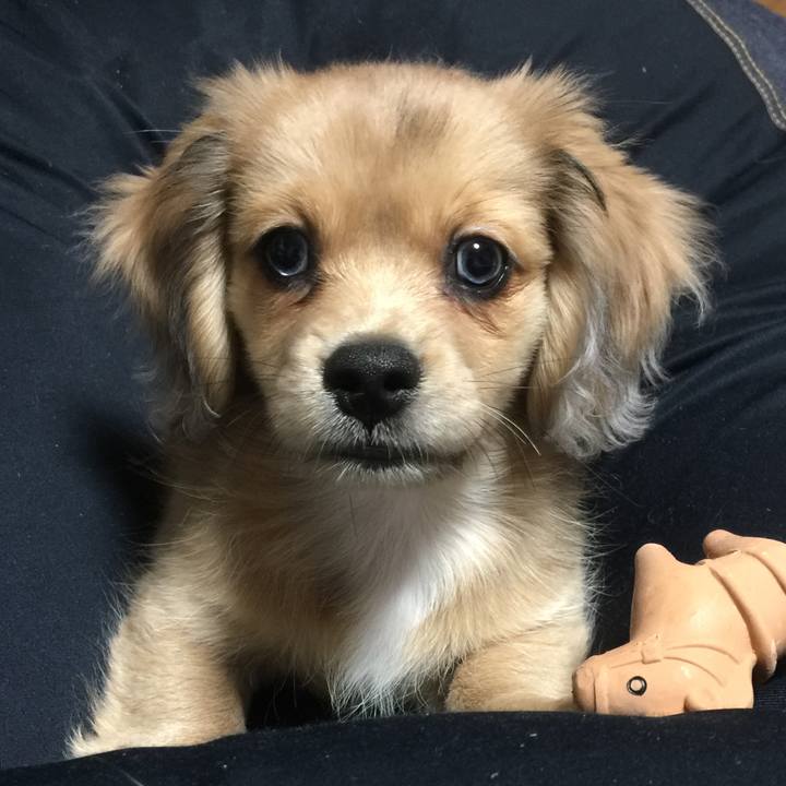 6f6d57eb 75e4 4f77 87a6 f5ba17b8a577 1536185062481