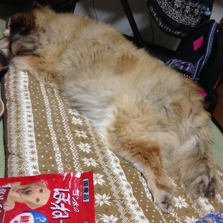 6f6da5ea 3013 423b a78c 4d16a21289ce 1594059616500