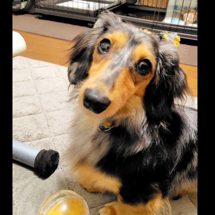 6f6dbdca f181 4b88 ab07 840d7c488c5a 1760175449848