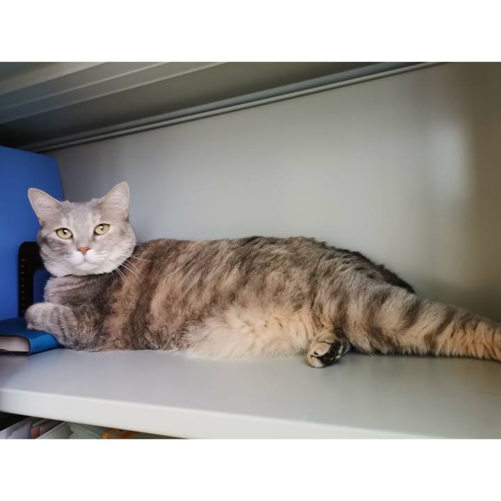 6f6e0f33 df6e 43dc 8286 61f54599a81e 1628131928761