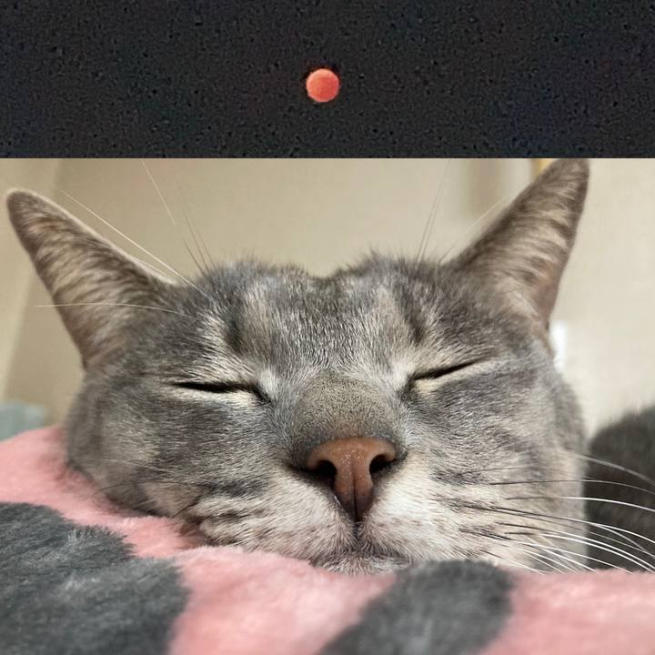 6f6e4d0f f826 4695 9487 30b80c205a8f 1667914346713