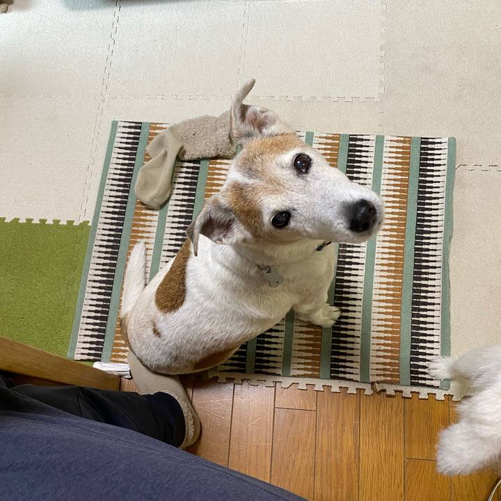 6f6e4d1c ce8c 42d9 9c5f a5e3b2c6520a 1634600337889