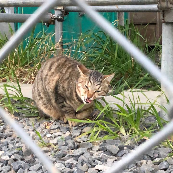 6f6e5636 7e10 44c6 83c5 d3b716275779 1546657869661