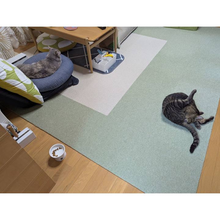 6f6e6545 548f 48cd 877a 687b7d2fd83c 1752197754091