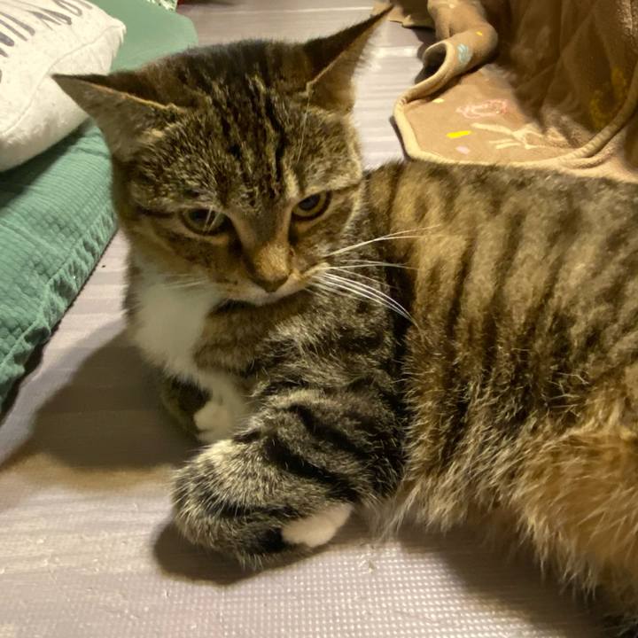 6f6e6e3a 9052 4eb1 9b7b 709bfa0e8938 1612537108850