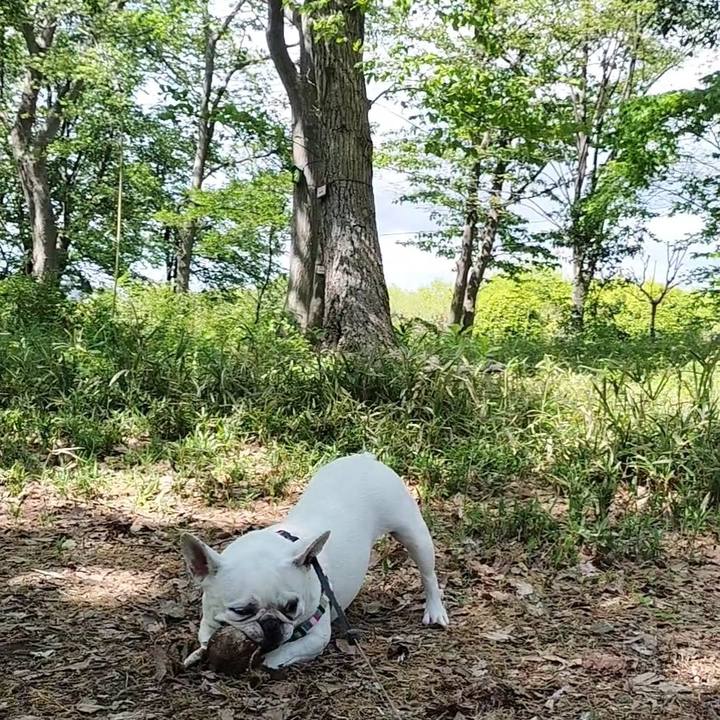 6f6e9da1 5aaf 4dcf 84f7 bb7353cbe0f0 1681680906788