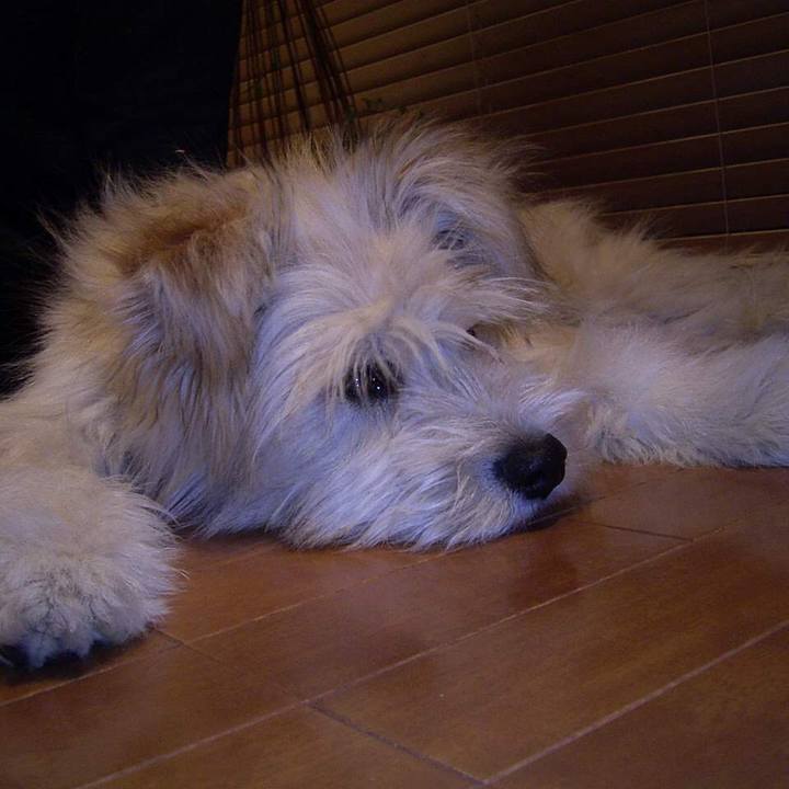 6f6eb6fe 47f3 4bb2 8ef1 837269f0e6d9 1535851717750